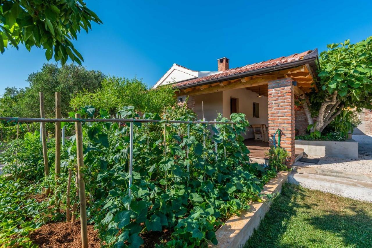 Villa Navita Augustinus With Pool Debeljak エクステリア 写真